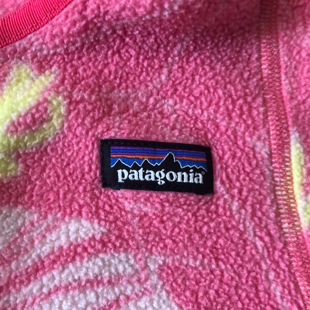 Patagonia hoodie